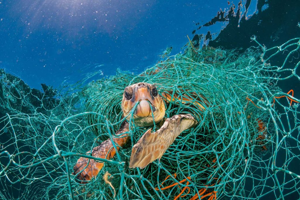 La pêche à l'aimant coulée par l'État - Charente Libre.fr