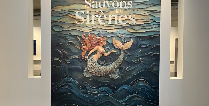 illustration musée