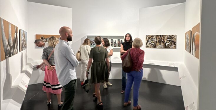 illustration musée