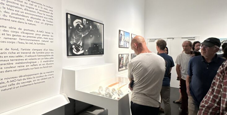 illustration musée